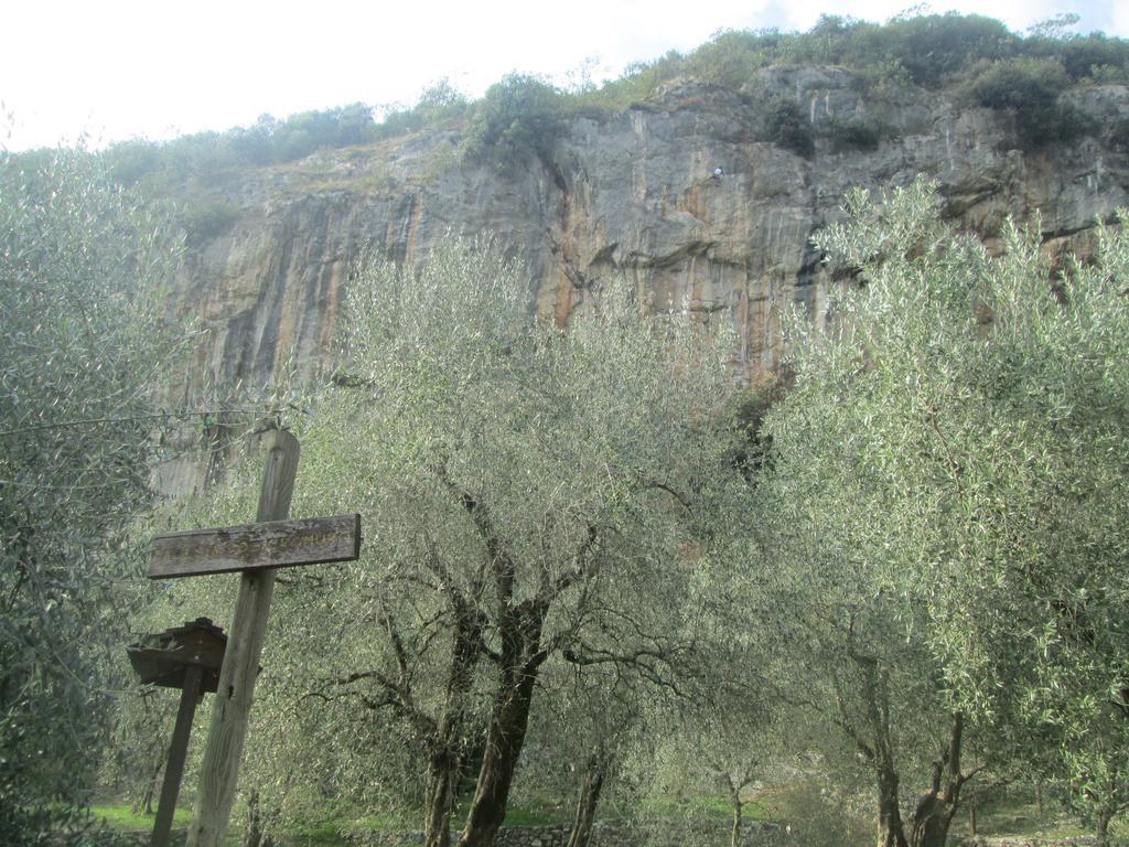 Massone Climbing Home Arco Bagian luar foto